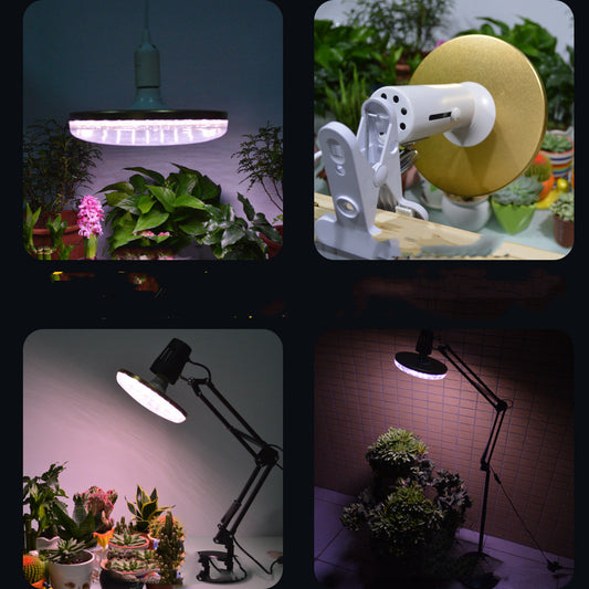 Full Spectrum Plant Growth Light - Shello's Creative Boutique