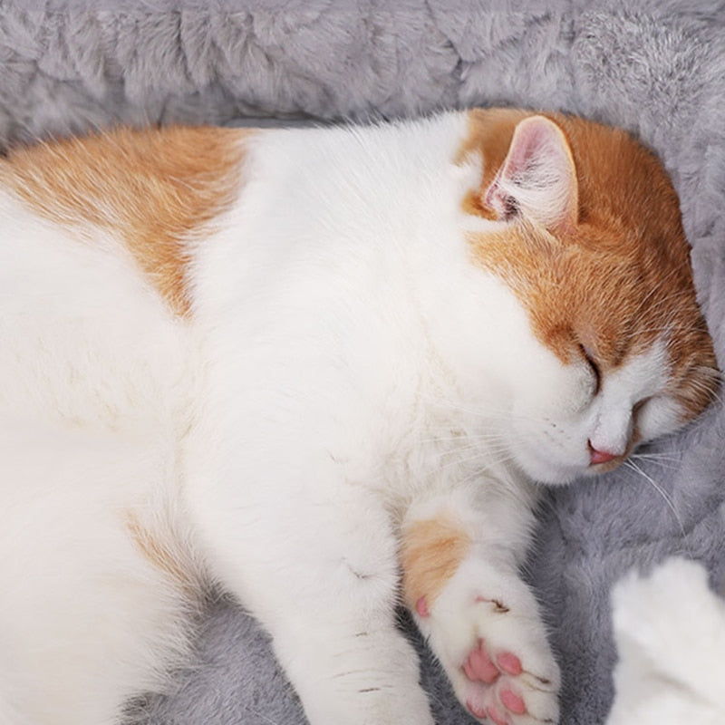HOOPET Winter Plush Pet Bed - Cozy Nest for Cats & Small Dogs