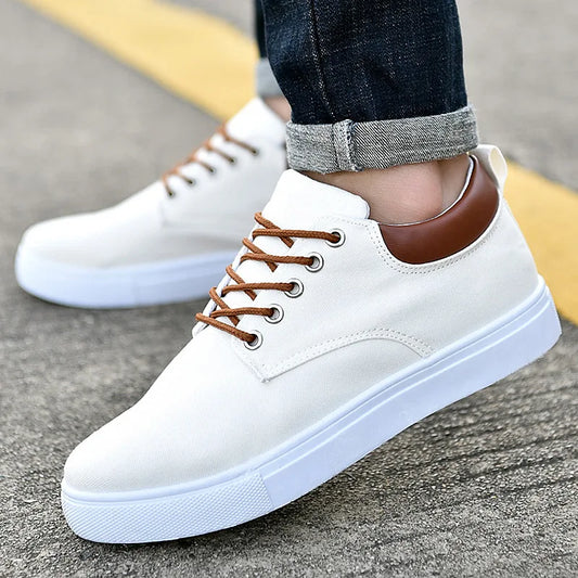 Men Shoes Canvas Sneakers Flats Lace up Leisure Loafers Rubber Sole Non Slip Sneakers eprolo