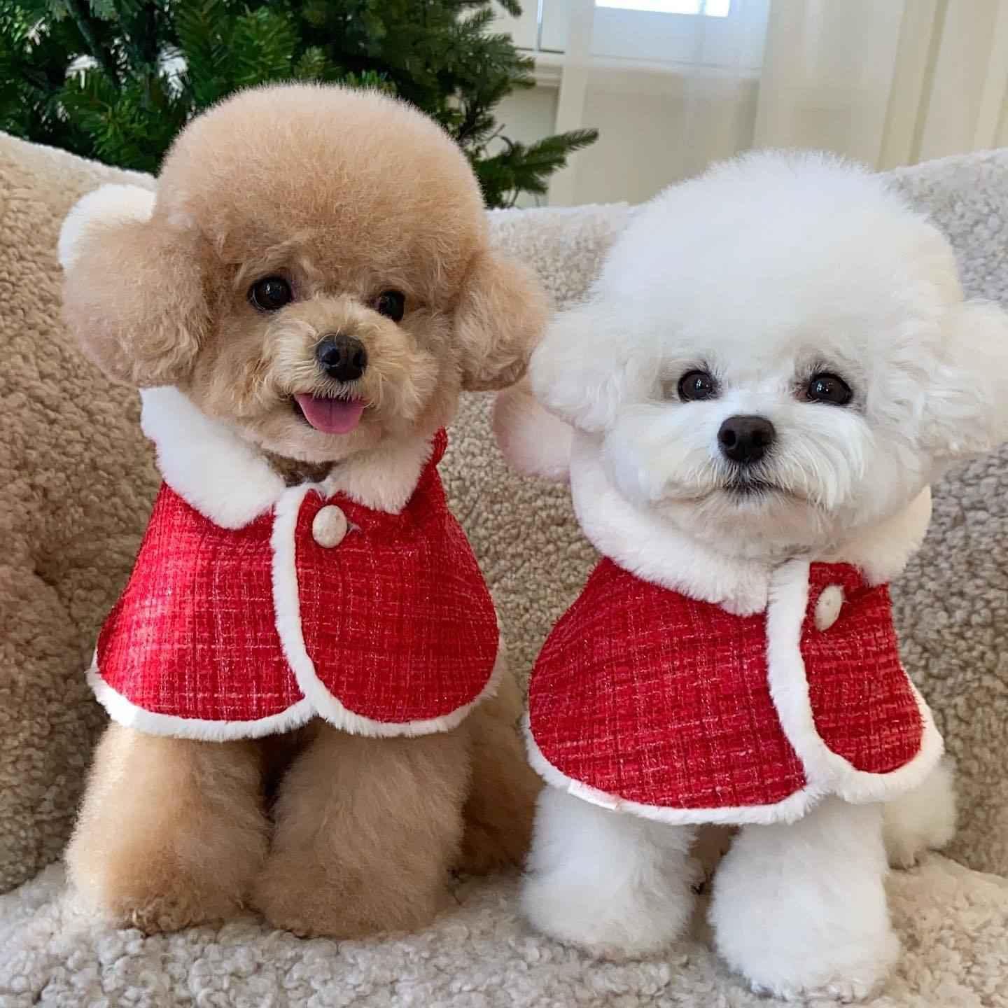 Christmas Dog Cape - Festive Pet Outfit with Plush Ears - Shello's Creative Boutique