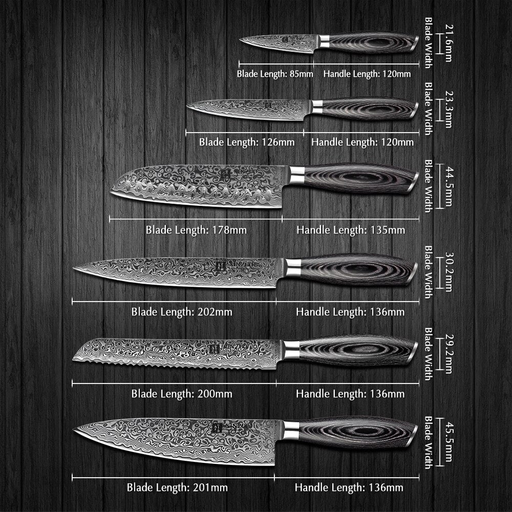 XINZUO 6 PCS Kitchen Knives Set VG10 Damascus Steel High Carbon Japanese Chef Santoku Utility Knife Cooking Set Pakkawood Handle eprolo