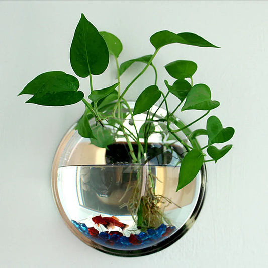 Pot Plant Wall Mounted Newest Hanging Decor Bubble Bowl Flowers Fish Tank Home Decor Aquarium Home Decoration Accessories - Shello's Creative Boutique
