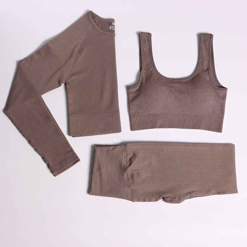 Women Gym Clothing High Waist Yoga Pants Tracksuit Fitness Clothing Two or Three-Piece Set
