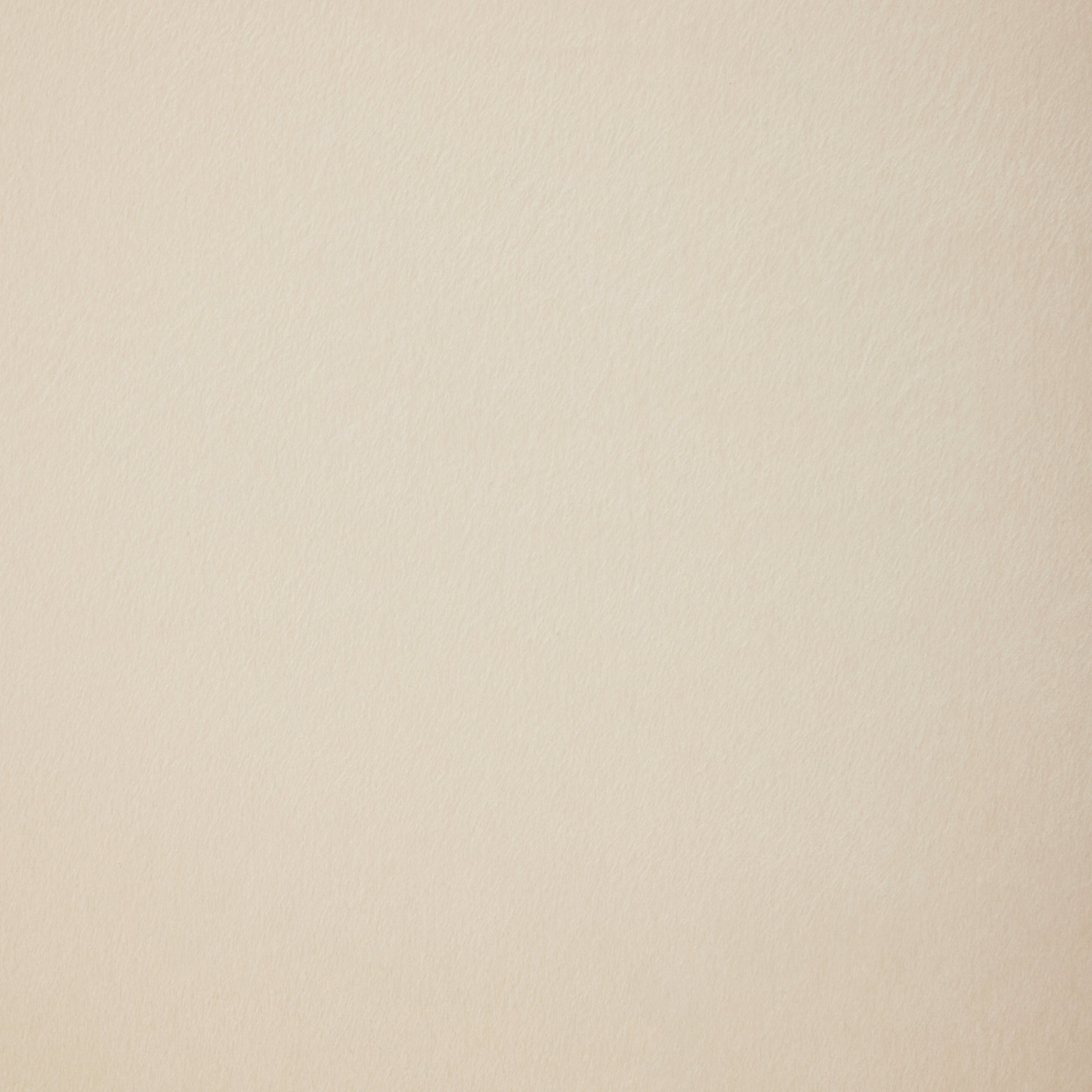 Velvet Multifunctional Storage Rectangular ottoman bench with 1 Pillow, Beige