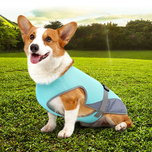 Pet Cooling Clothing Dog Clothing Pet Cooling Pet Supplies - Shello's Creative Boutique