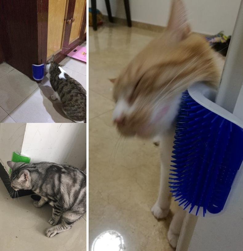 Cat Self-Grooming Brush with Catnip - Wall-Mounted Massage & Shedding Tool