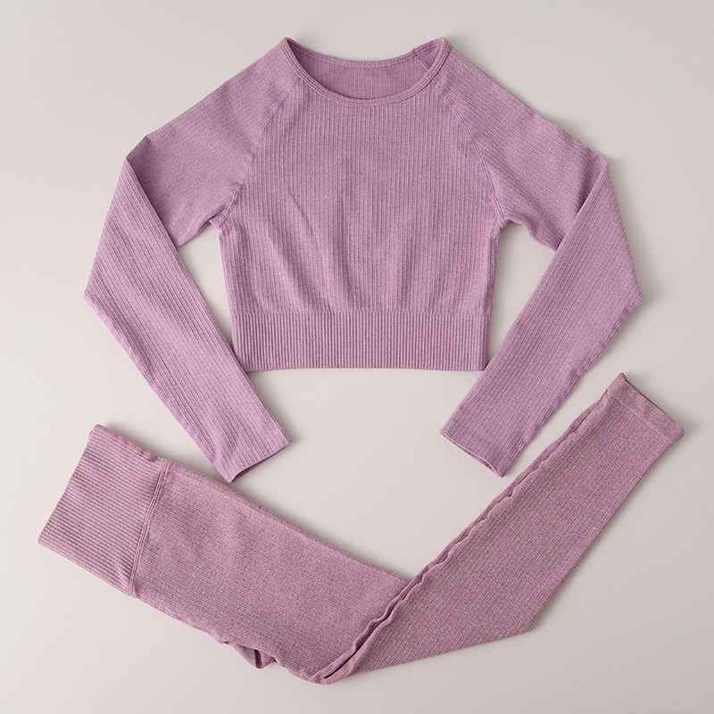 Women Gym Clothing High Waist Yoga Pants Tracksuit Fitness Clothing Two or Three-Piece Set