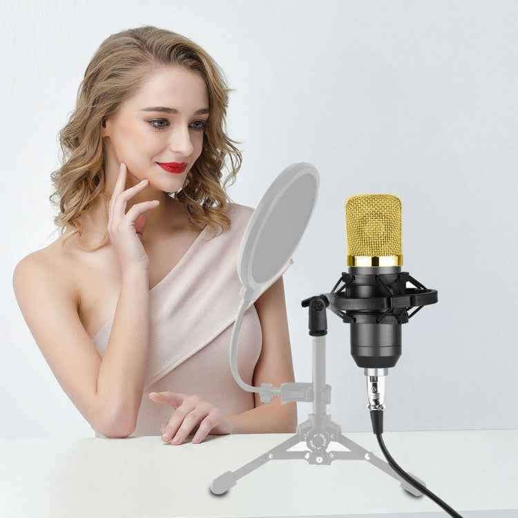 BM-700 USB Professional Condenser Microphone - Shello's Creative Boutique