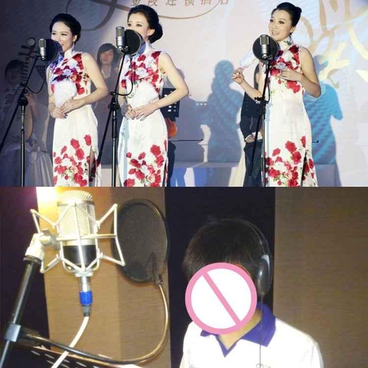 For Studio Recording, Live Broadcast, Live Show, KTV, etc - Shello's Creative Boutique