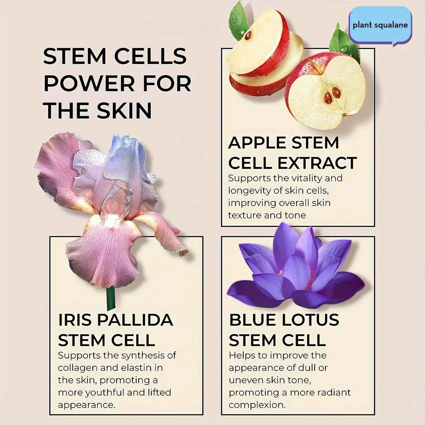 Niacinamide Hyaluronic Acid Collagen Face Cream with Airless Pump Collagen Botanical Stem Cells Cream for Skin with Retinol