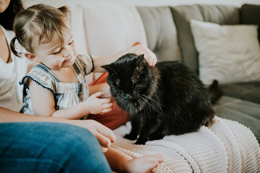 Creating a Pest-Free Family Haven with Magnetic Door Curtains: A Comprehensive Guide for Households with Children Pets and Stylish Furniture - Shello's Creative Boutique