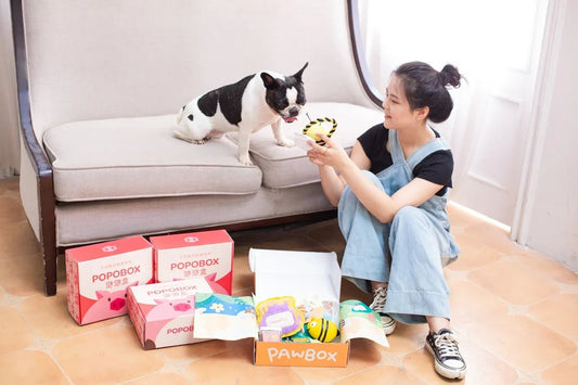 Discover Effortless Family Style with the Blue Striped Plus Size Top and Skort Set Perfect for Children Pets and Welcoming Household Products and Furniture - Shello's Creative Boutique