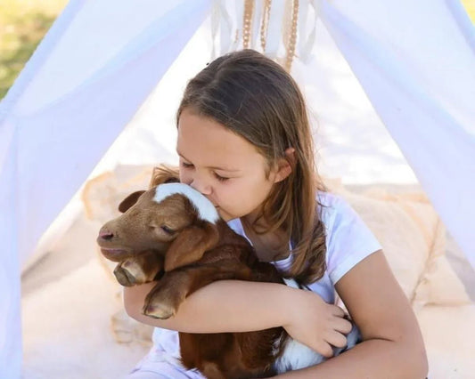 How Thigh-High Boots Model 202509 Step in Style Can Transform Your Family's Interaction with Pets Children and Household Furniture - Shello's Creative Boutique