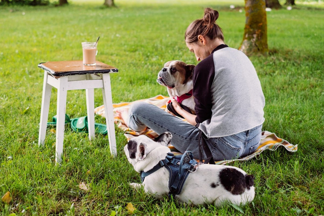 Keep Your Family Cosy and Stylish: Art of Polo Winter Set for Children Pets and Home With Elegant Household Products and Furniture - Shello's Creative Boutique