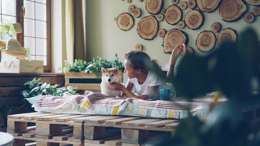 Keep Your Family Safe: A Guide to Using the Wireless WiFi Outdoor Doorbell Camera in a Household with Children Pets and Furniture - Shello's Creative Boutique