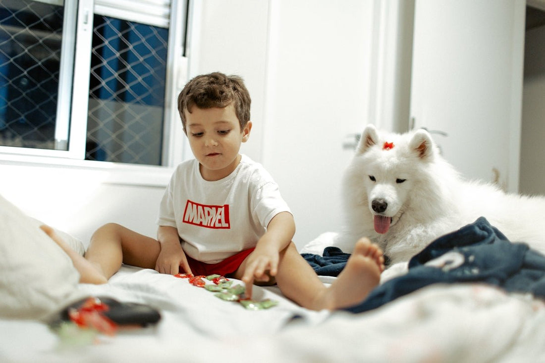 LGRAMER Retinol Collagen Cream: Creating a Child-Friendly and Pet-Safe Home While Preserving Your Furniture - Shello's Creative Boutique