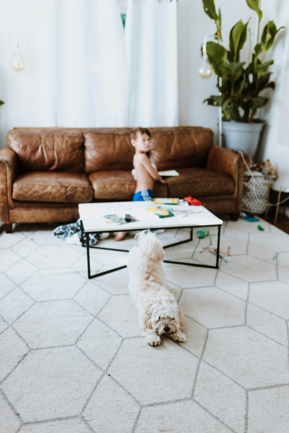 a dog sitting on a tile floor