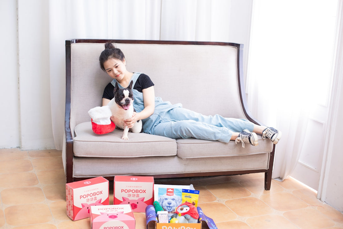 Woman and dog relax on a sofa with gifts.