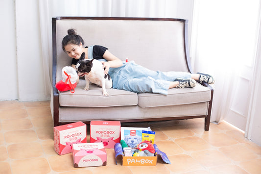Woman relaxes on couch with her dog and gifts.