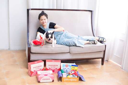 Woman and dog relax on a couch with a gift box.