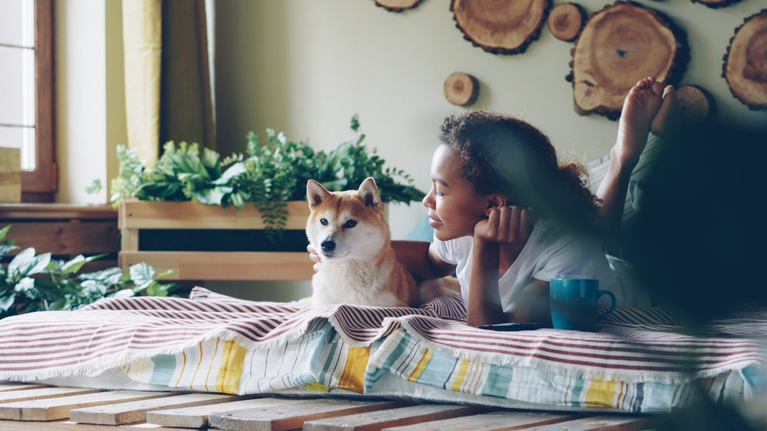 Woman and shiba inu relax on a bed.