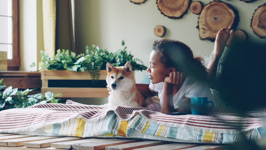 Woman and shiba inu relax on a bed.