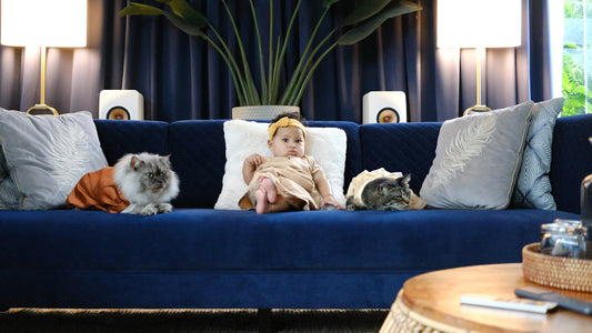 Baby with pets on a blue couch