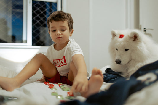Young boy and fluffy white dog on a bed