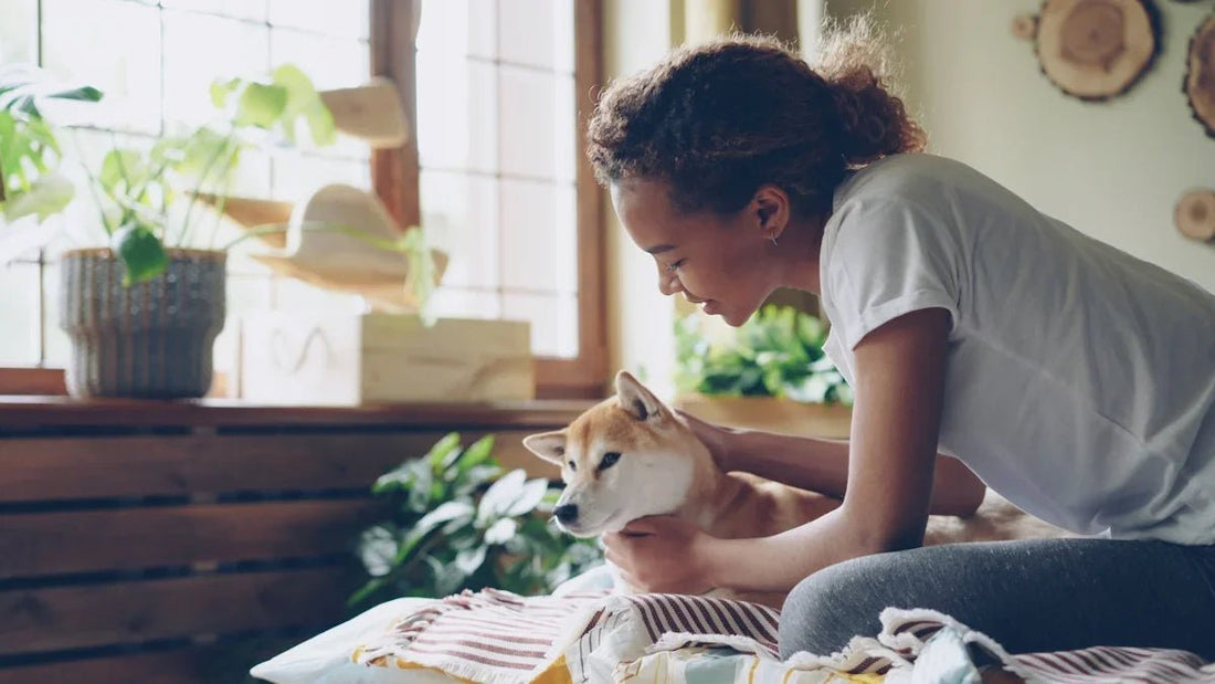Push Up Bra Set by Mat: How to Integrate Comfort into Family Life with Children Pets and Household Furniture - Shello's Creative Boutique