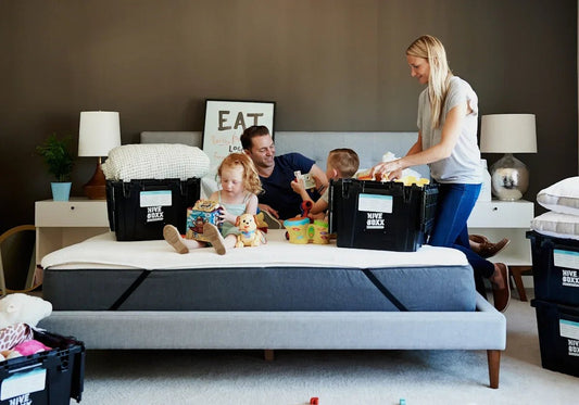 Solea Sneakers Model 202552: A Perfect Fit for Family Adventures with Children Pets and Versatile Household Furniture - Shello's Creative Boutique