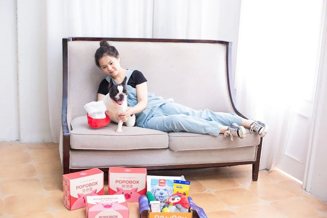Sport Shoes Model 202547 Step in Style: Enhancing Family Adventures with Children Pets and Functional Household Furniture - Shello's Creative Boutique