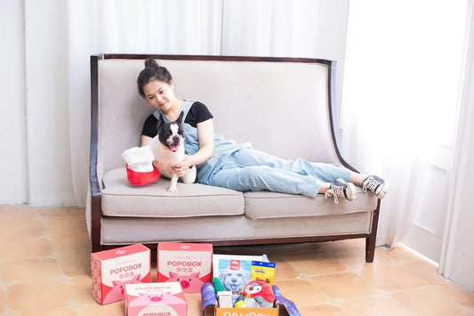 Sport Shoes Model 202547 Step in Style: Enhancing Family Adventures with Children Pets and Functional Household Furniture - Shello's Creative Boutique