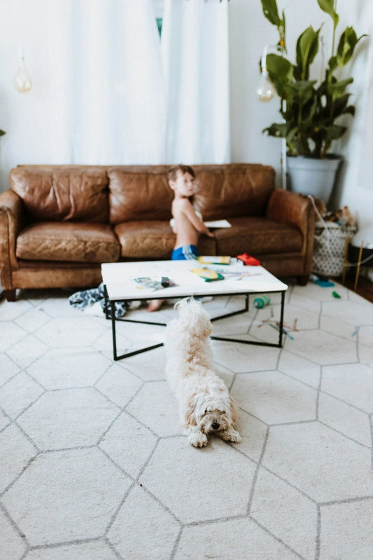 Step into Style: How Mocassin Model 211609 Enhances Family Life with Children Pets and Household Furniture - Shello's Creative Boutique