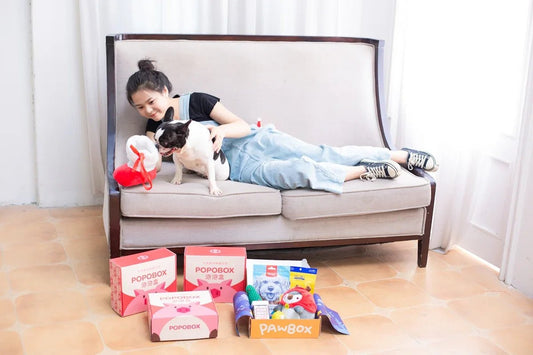 Thigh-High Boots Model 202537 Solea: Enhancing Family Spaces with Children Pets and Furniture - Shello's Creative Boutique