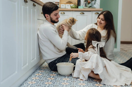 Transforming Family Gatherings with the Rose Abstract Puff Sleeve Dress and Pet-Friendly Furniture and Household Products - Shello's Creative Boutique