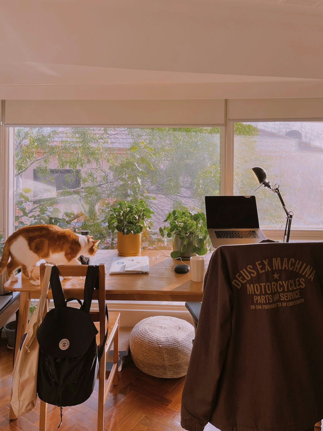 Why the ME6S Professional USB Microphone is a Sound Investment for Families with Children Pets and Modern Household Furniture - Shello's Creative Boutique
