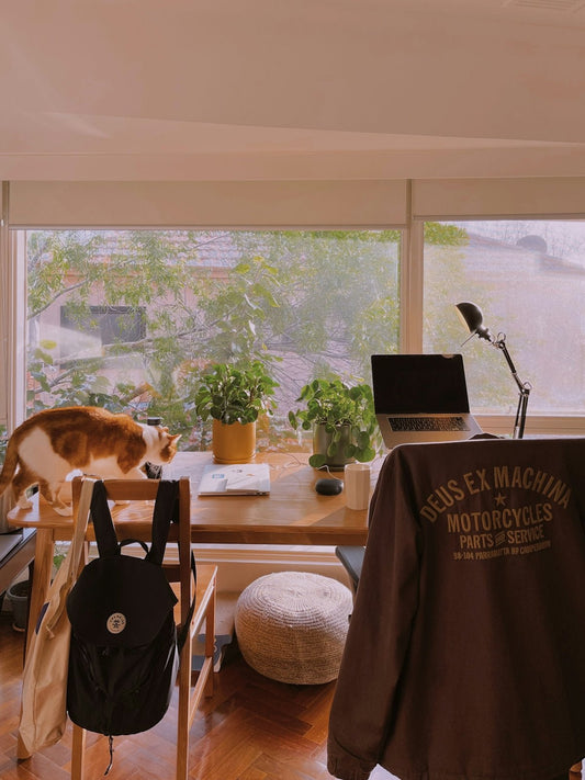 Why the ME6S Professional USB Microphone is a Sound Investment for Families with Children Pets and Modern Household Furniture - Shello's Creative Boutique