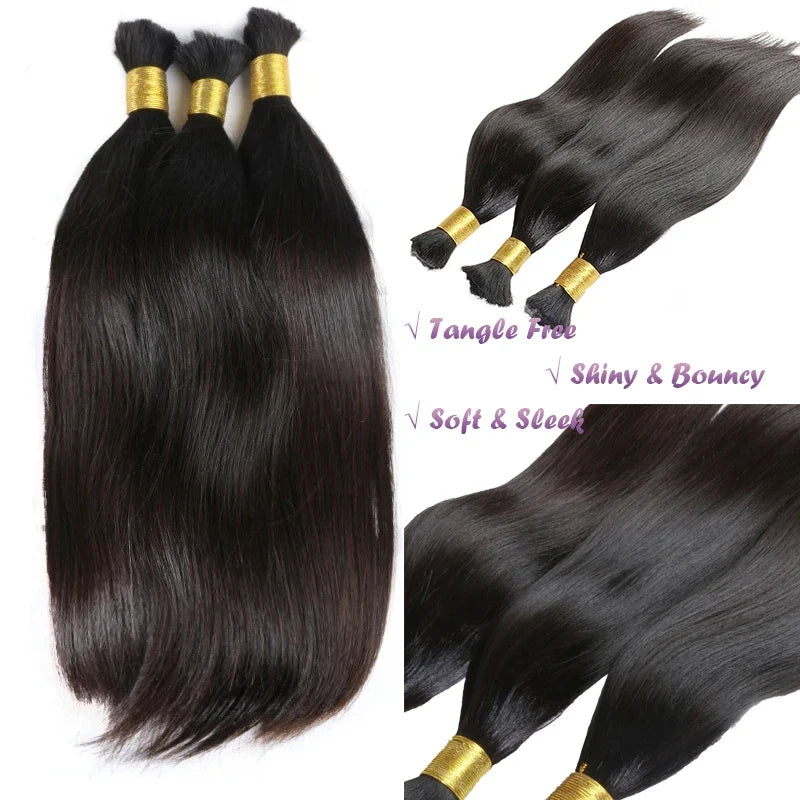 Human Hair Wigs