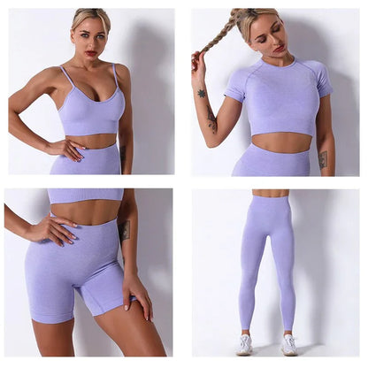 2Pcs/3Pcs/4Pcs Yoga Set Women Clotching Fitness Sportswear Seamless High Waist Leggings Shorts Shirt Crop Top Sport Bra - Shello's Creative Boutique