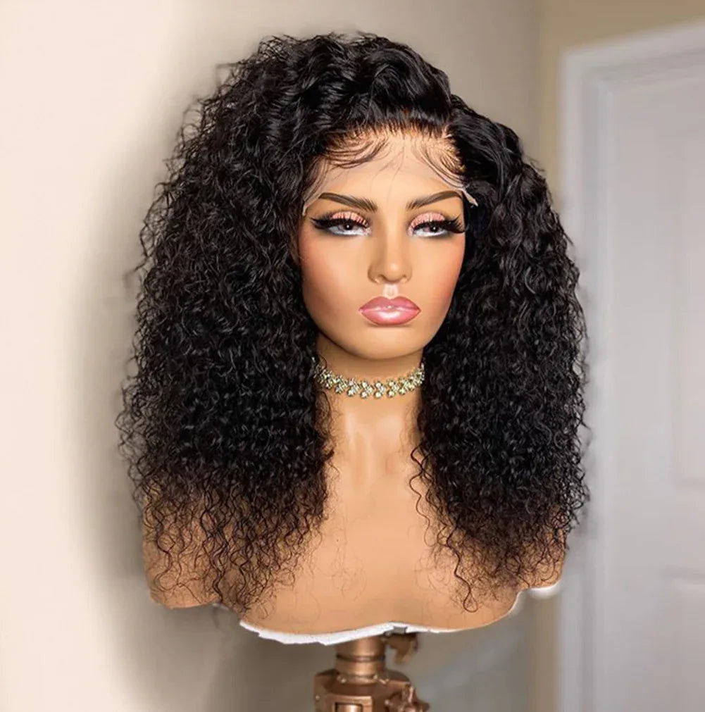 Afro Kinky Curly Lace Front Wig - High Temperature Synthetic - Shello's Creative Boutique