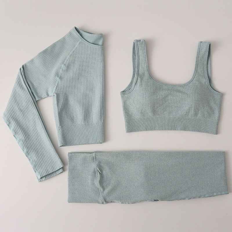 Women Gym Clothing High Waist Yoga Pants Tracksuit Fitness Clothing Two or Three-Piece Set