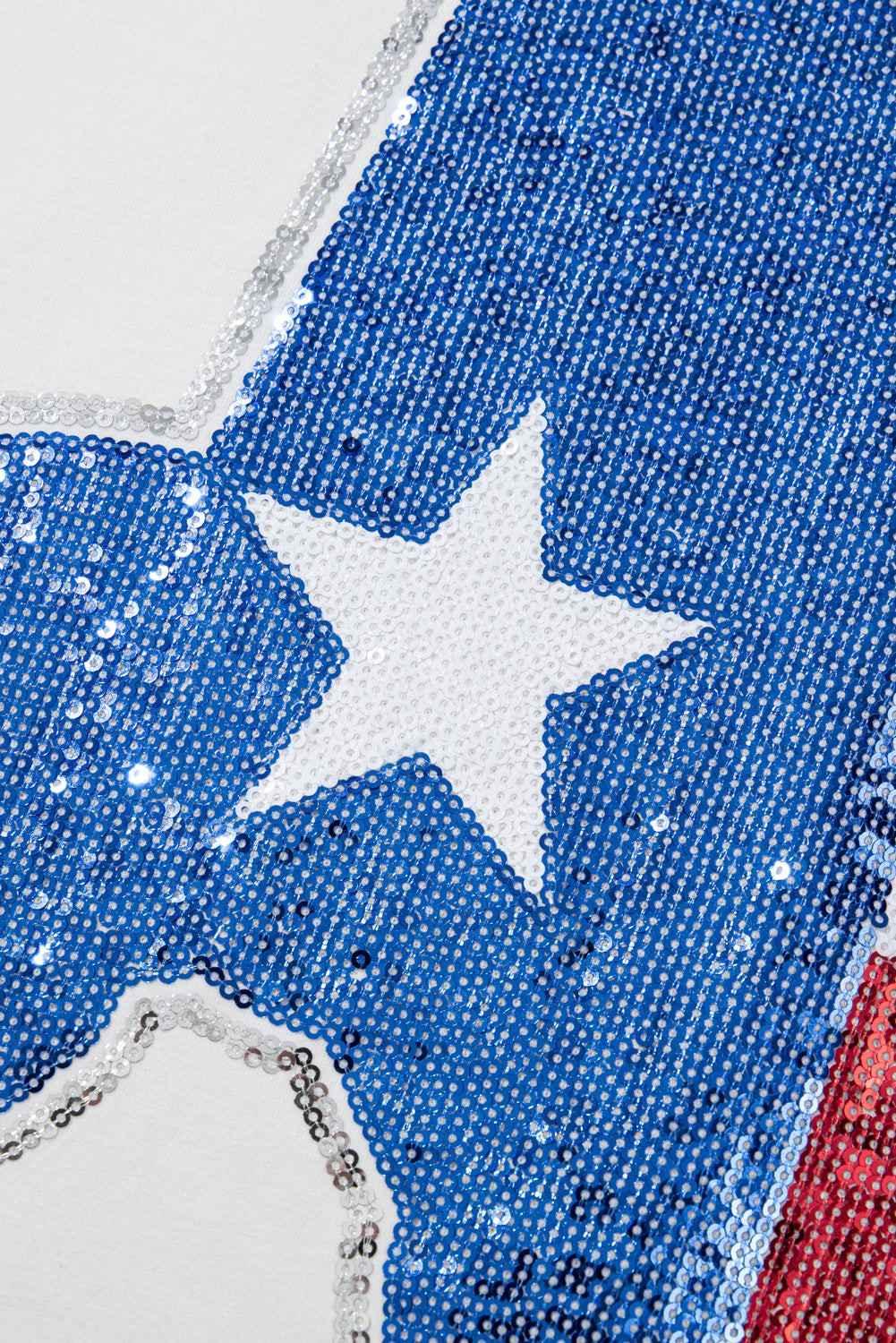 White Sequined Texas Graphic Plus Size T-Shirt - Sparkle & Style - Shello's Creative Boutique