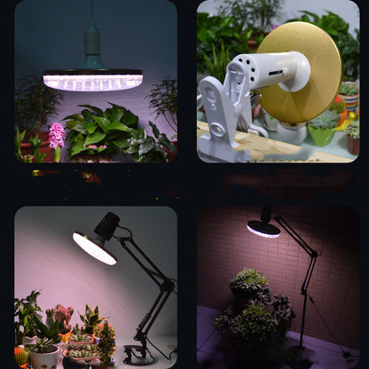 Full Spectrum Plant Growth Light - Shello's Creative Boutique