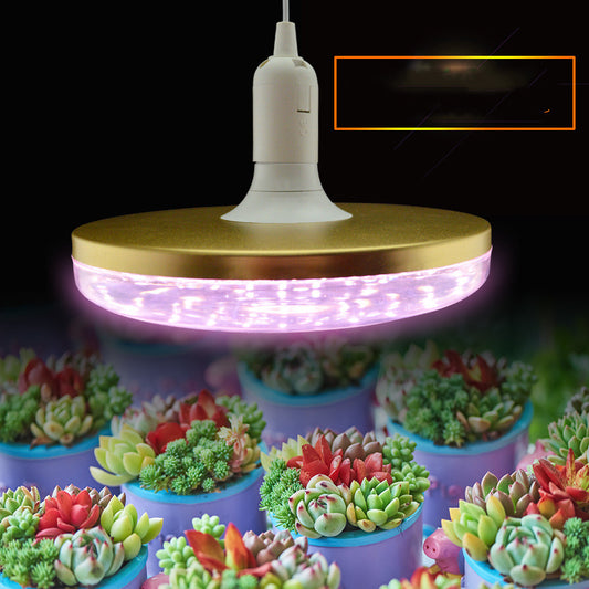 Full Spectrum Plant Growth Light - Shello's Creative Boutique