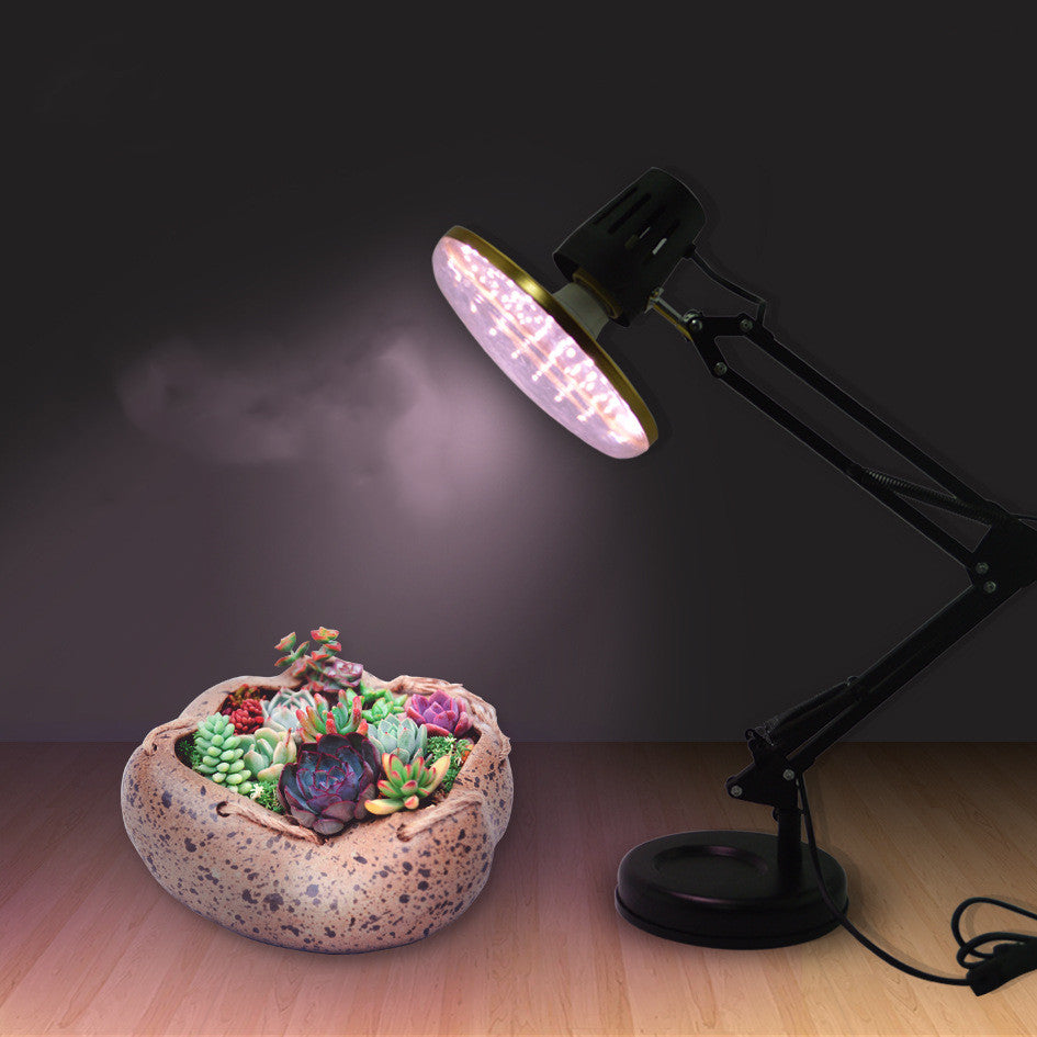 Full Spectrum Plant Growth Light - Shello's Creative Boutique