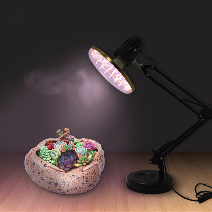 Full Spectrum Plant Growth Light - Shello's Creative Boutique