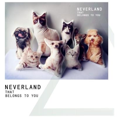 Cute Pet Shaped Pillow Custom To Map Custom DIY Sofa Cushion Car Pillow eprolo