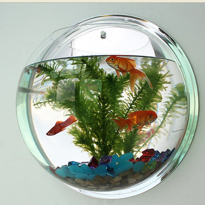 Pot Plant Wall Mounted Newest Hanging Decor Bubble Bowl Flowers Fish Tank Home Decor Aquarium Home Decoration Accessories - Shello's Creative Boutique