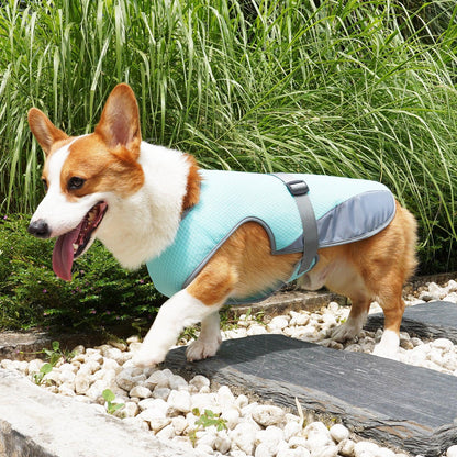 Pet Cooling Clothing Dog Clothing Pet Cooling Pet Supplies - Shello's Creative Boutique