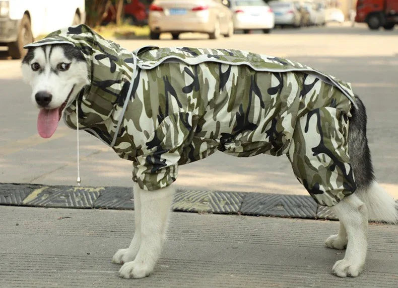Pet dog raincoat, dog clothing processing, clothing and clothing, big dog raincoat, four legged golden fur, large dog - Shello's Creative Boutique